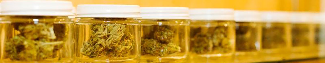 Cannabis in jars